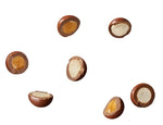 Tony's Lil’Bits - Milk Caramel Sea Salt & Cookie