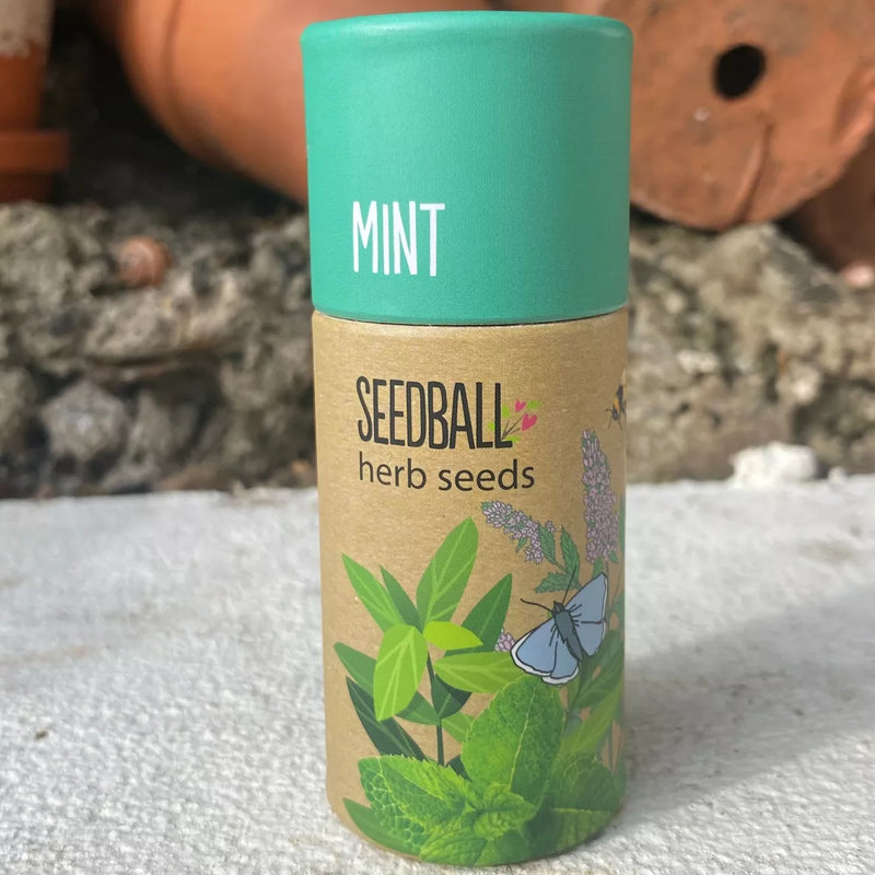 Herb Seedball Tube - Mint  Seedball