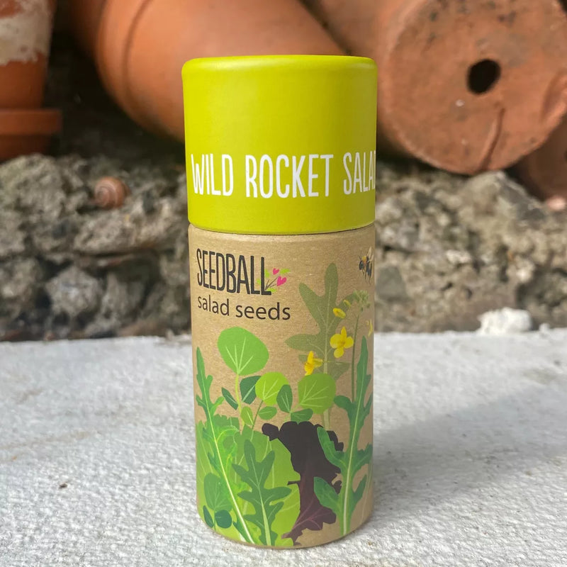 Herb Seedball Tube - Wild Rocket