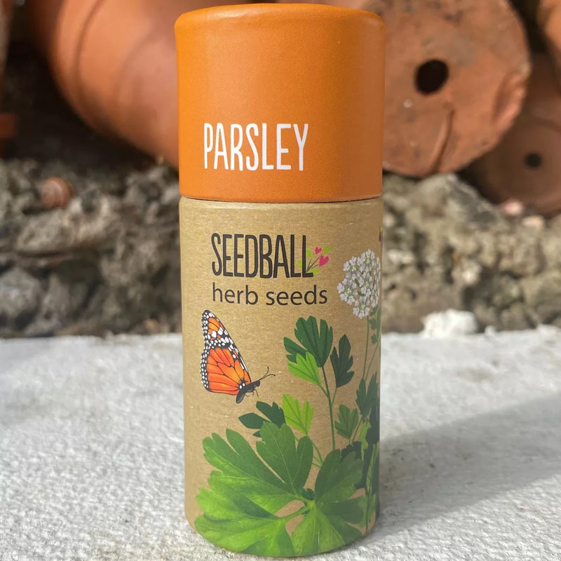Herb Seedball Tube - Parsley