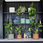 Celine Recycled Planter