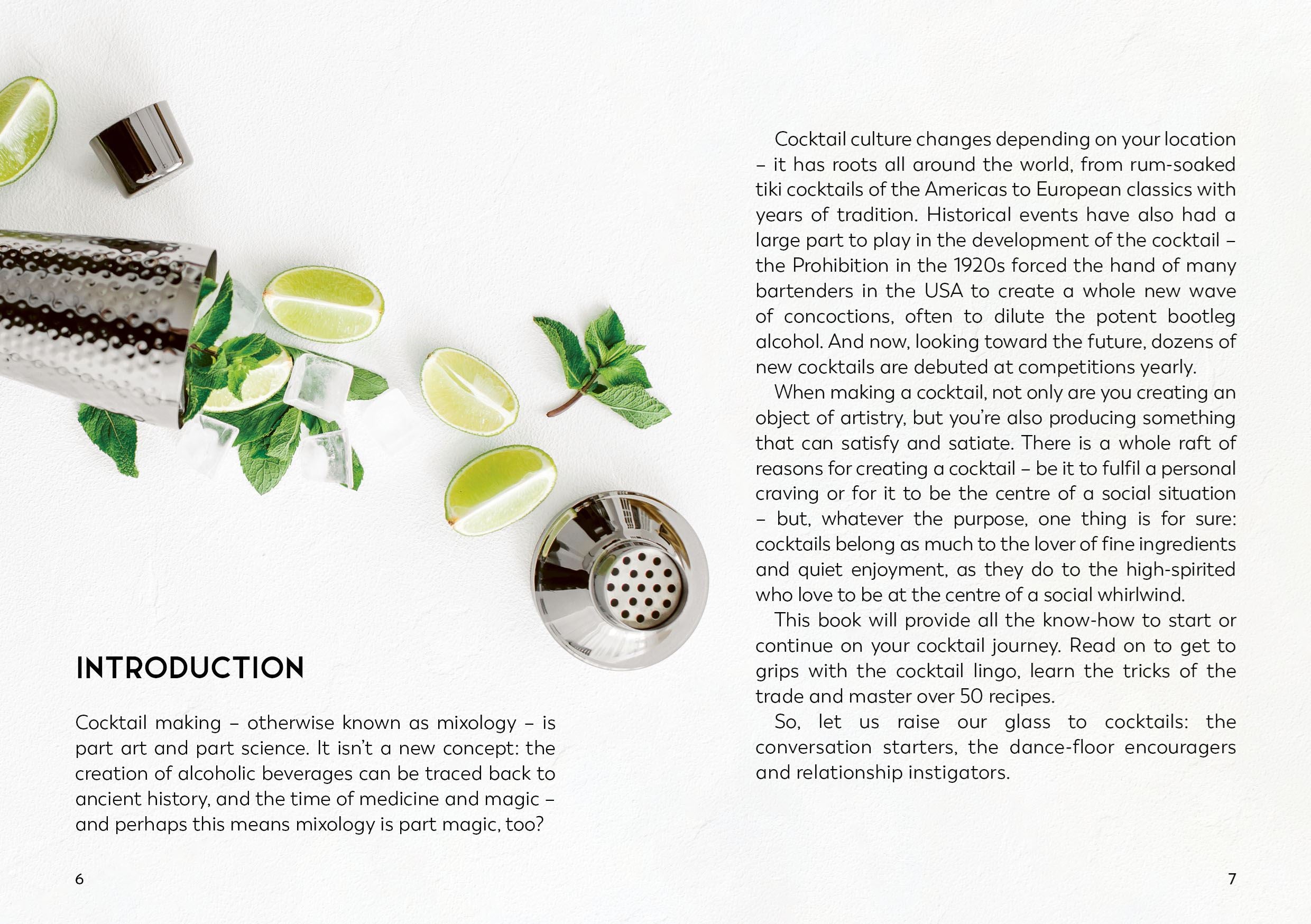 Little Book For Cocktail Lovers