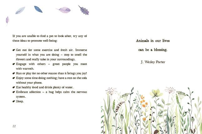The A-Z of Calm