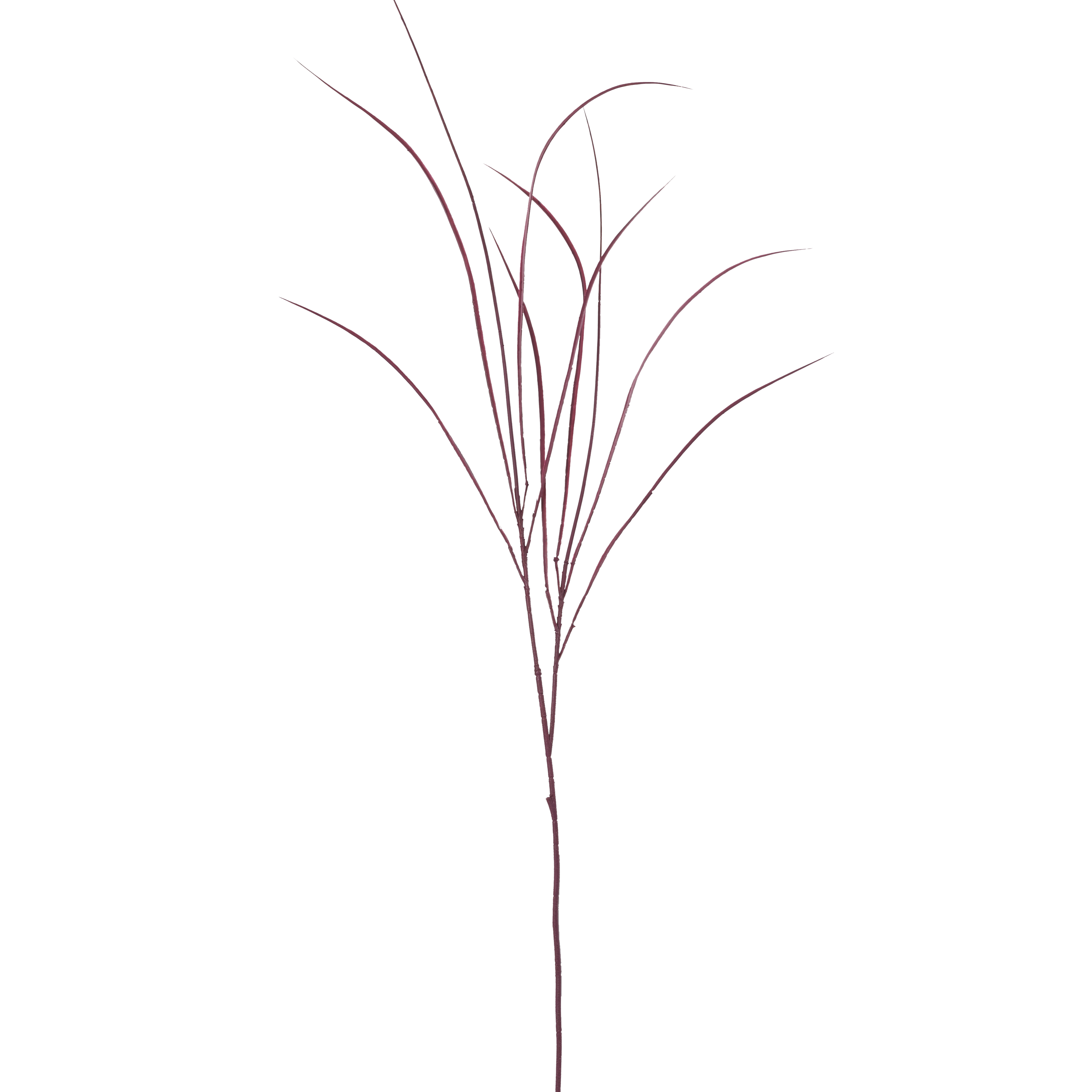 Acorus Grass Crimson Faux Botanical