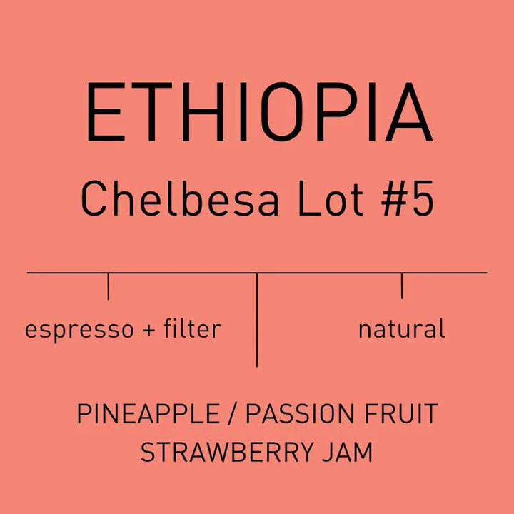Ethiopia Coffee Bag 225g