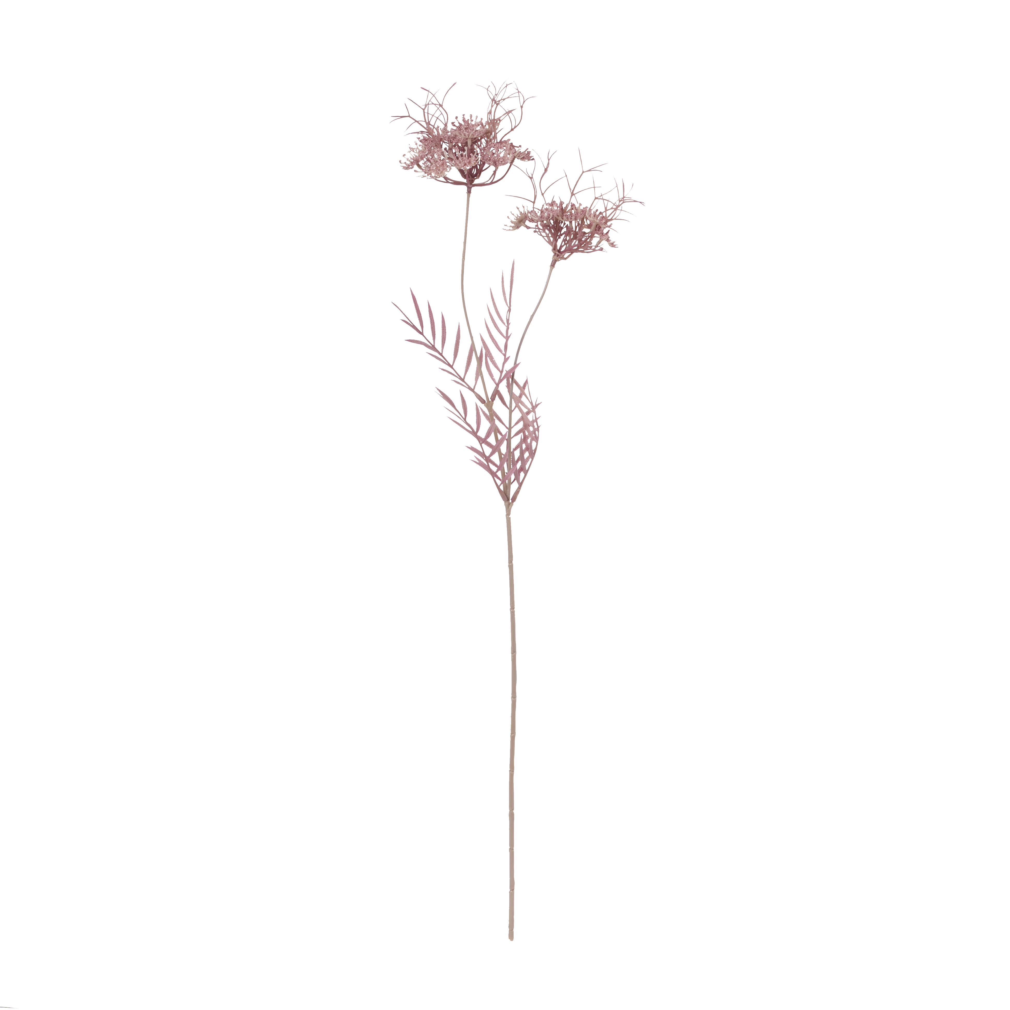Elder Lace Crimson Faux Botanical