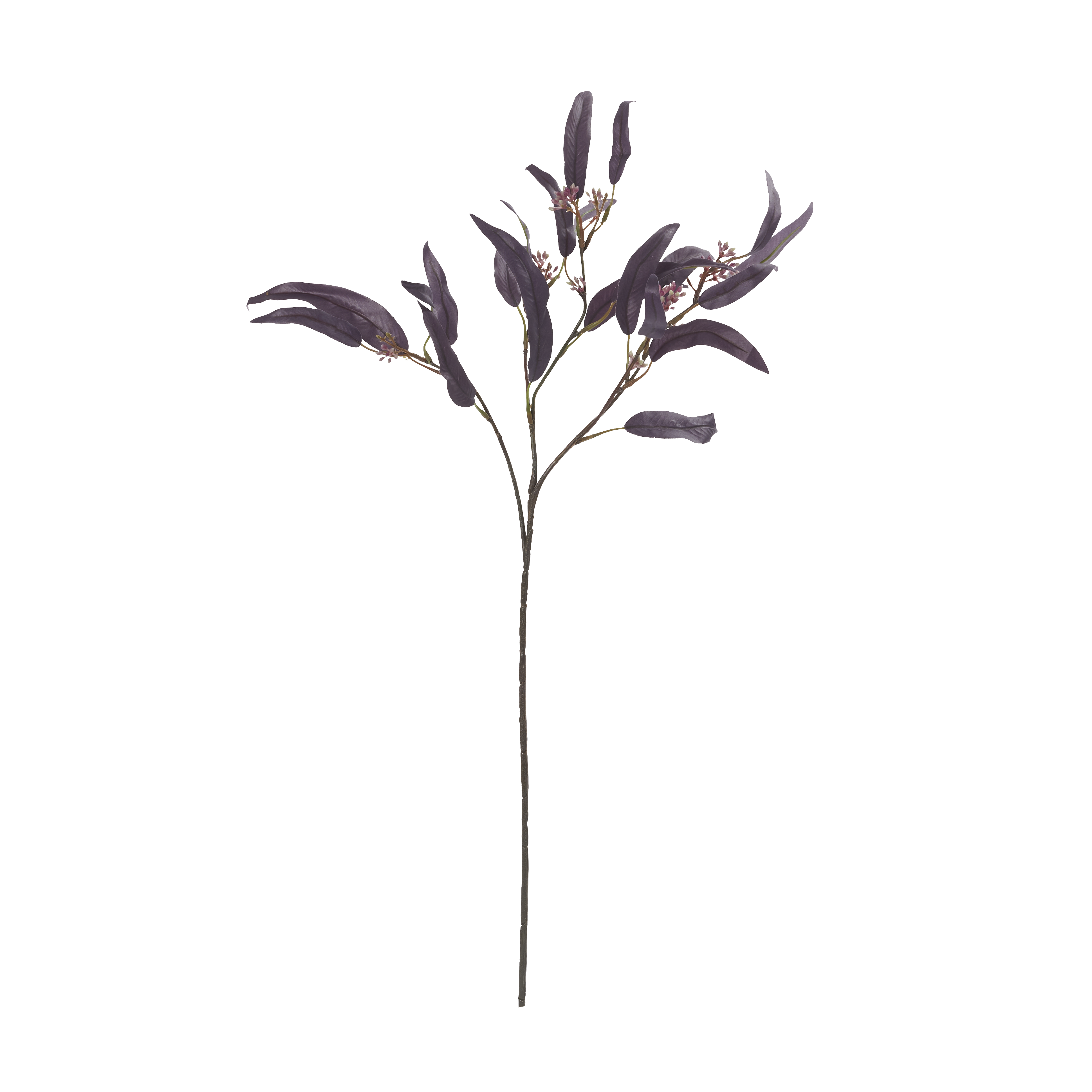 Eucalyptus Nicolii Plum Faux Botanical