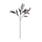 Eucalyptus Nicolii Plum Faux Botanical