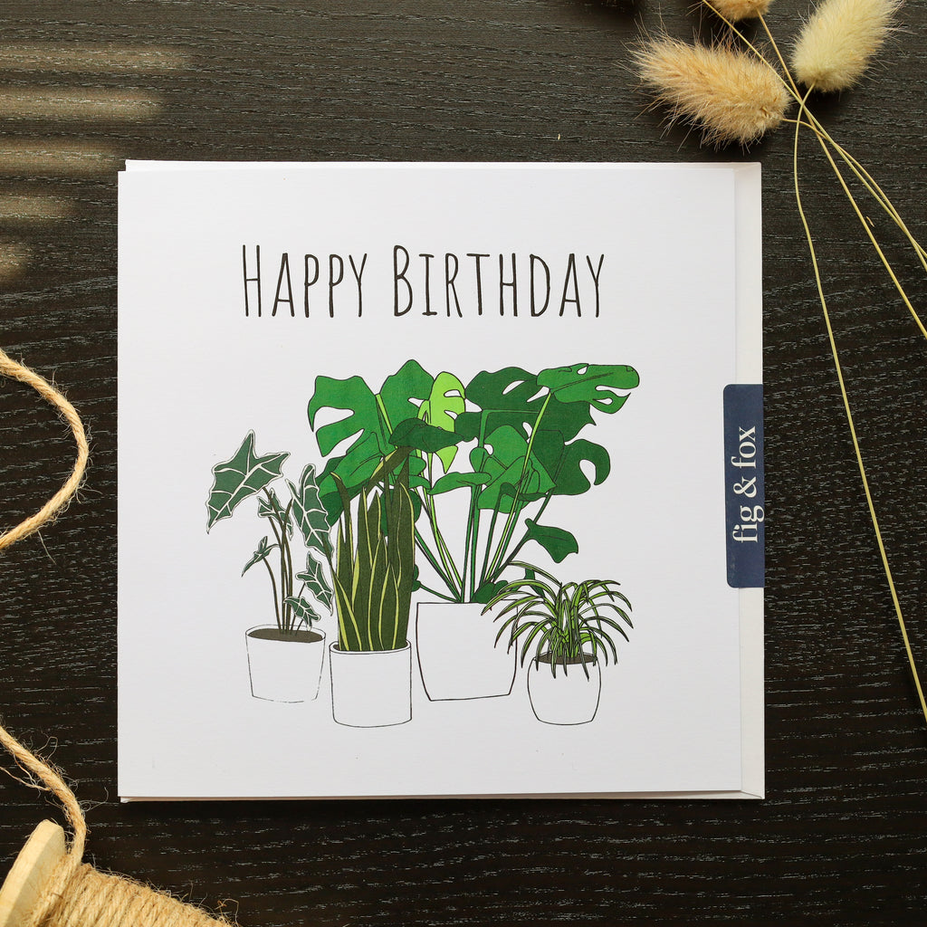 Happy Birthday Houseplant Card – Fig & Fox