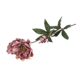 Hellebore Ruby Faux Botanical