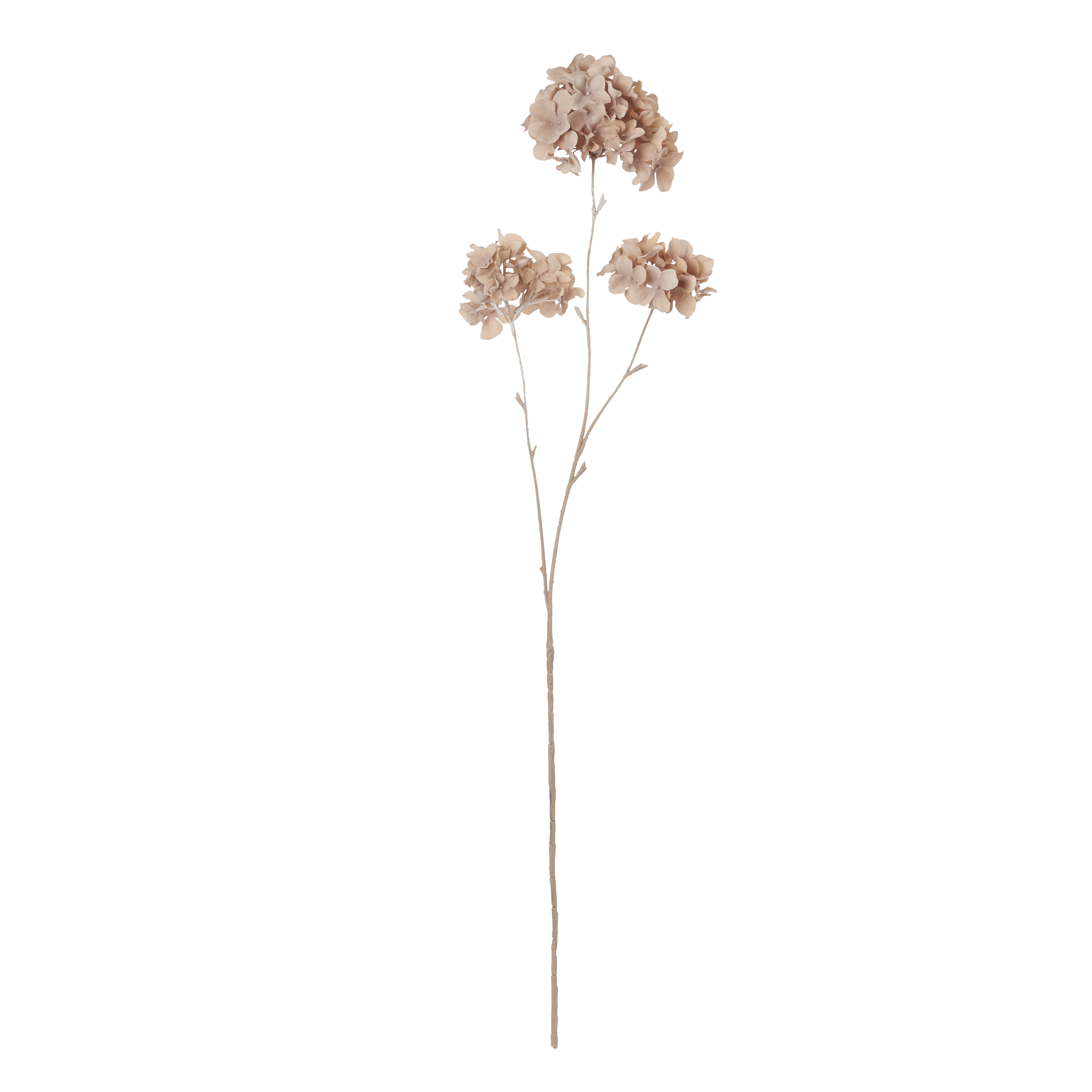 Hydrangea Paniculata Faux Botanical