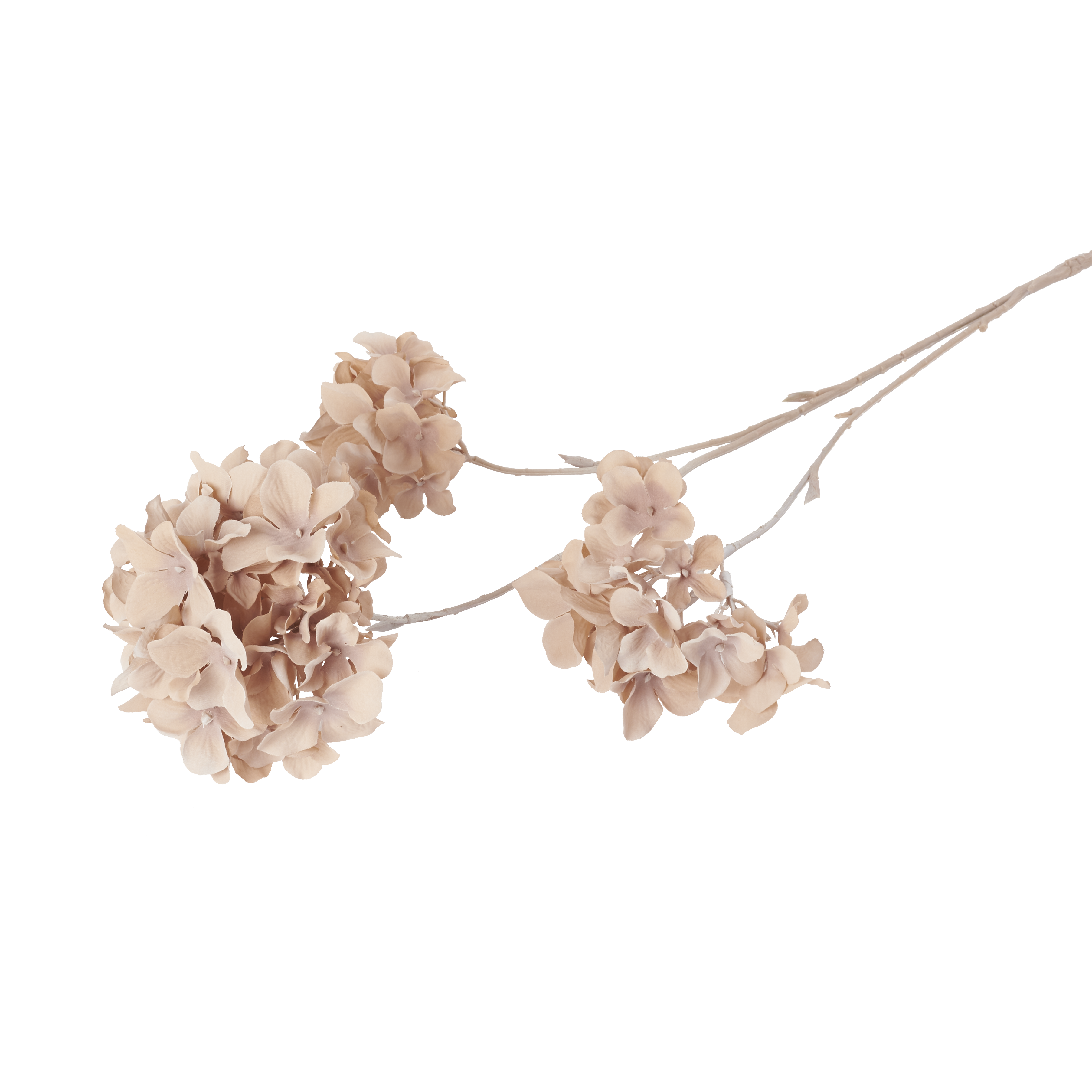 Hydrangea Paniculata Faux Botanical