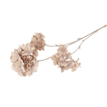 Hydrangea Paniculata Faux Botanical
