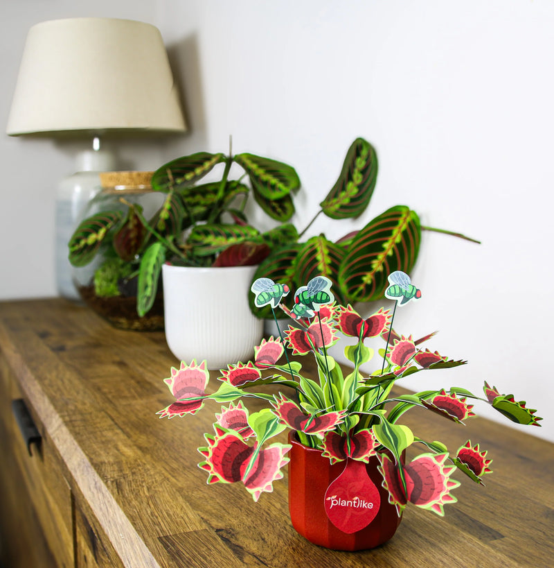 The Venus Fly Trap - Paper Craft Kit