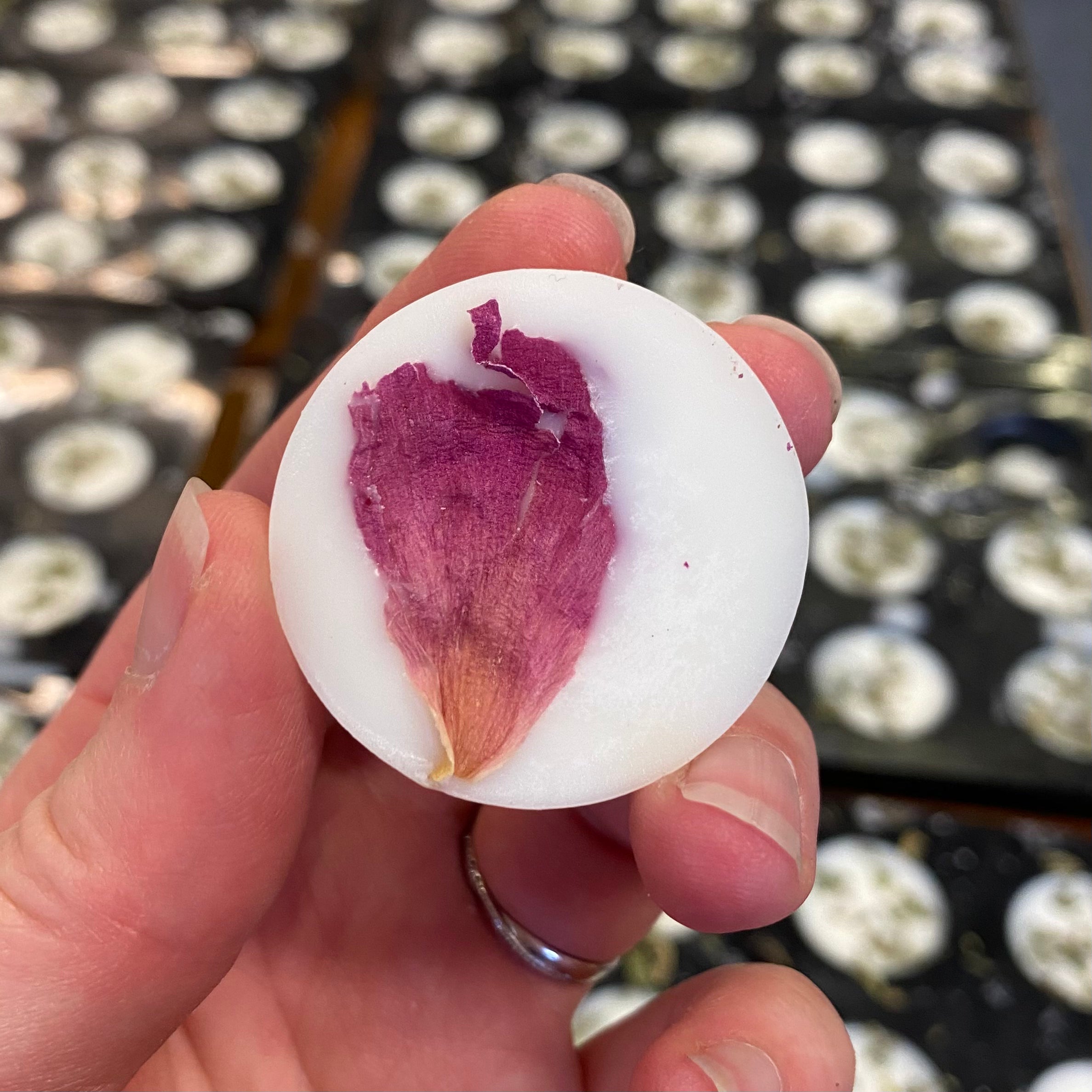 Selection Box of 10 Wax Melts