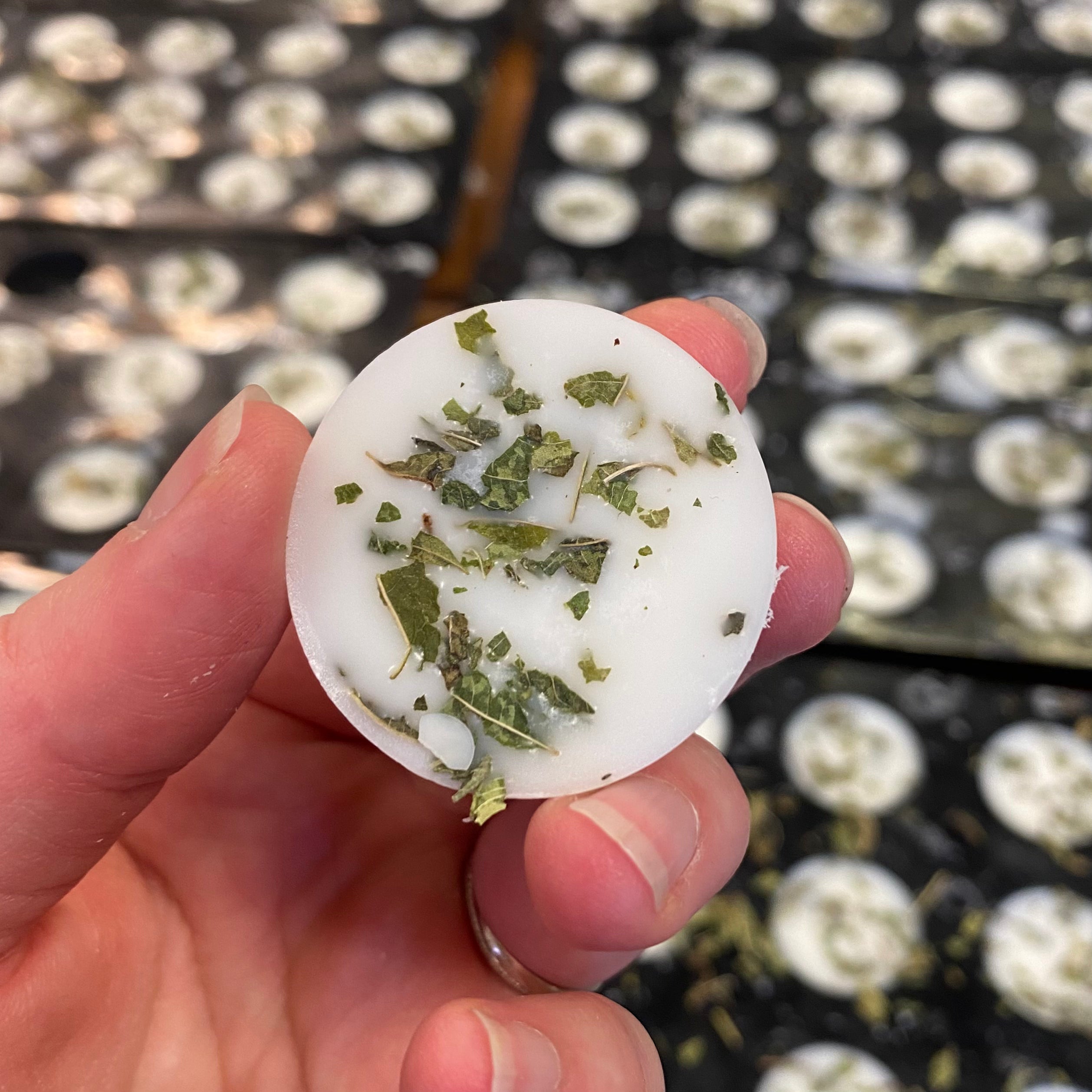 Selection Box of 10 Wax Melts