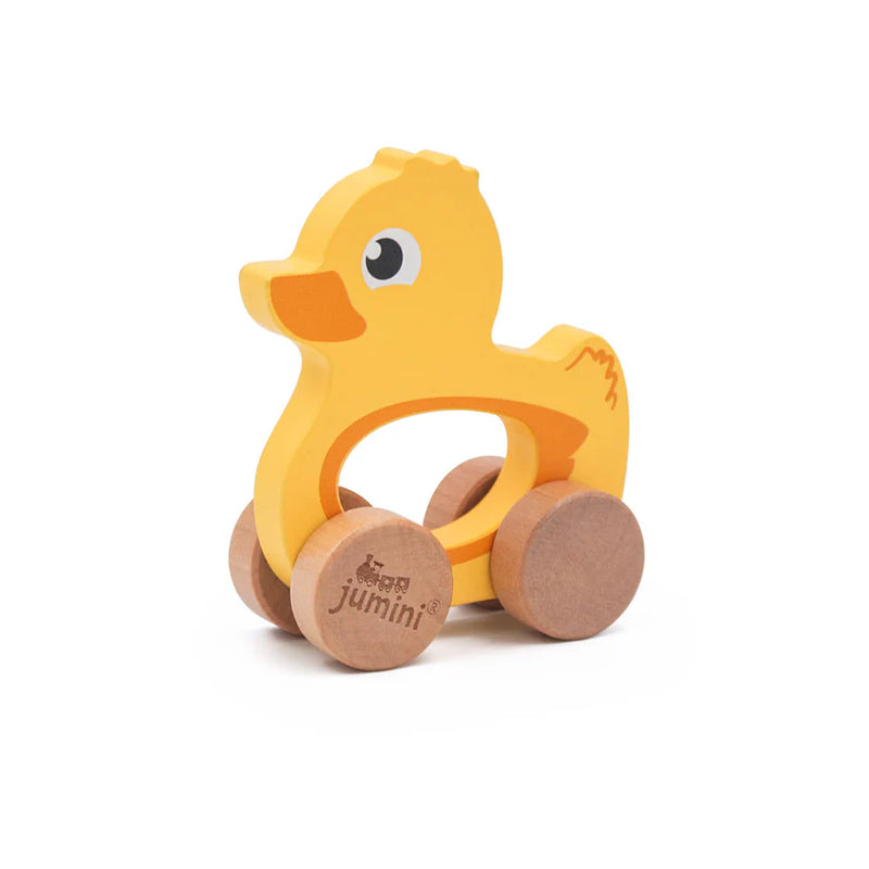 Push Along Friends Duck