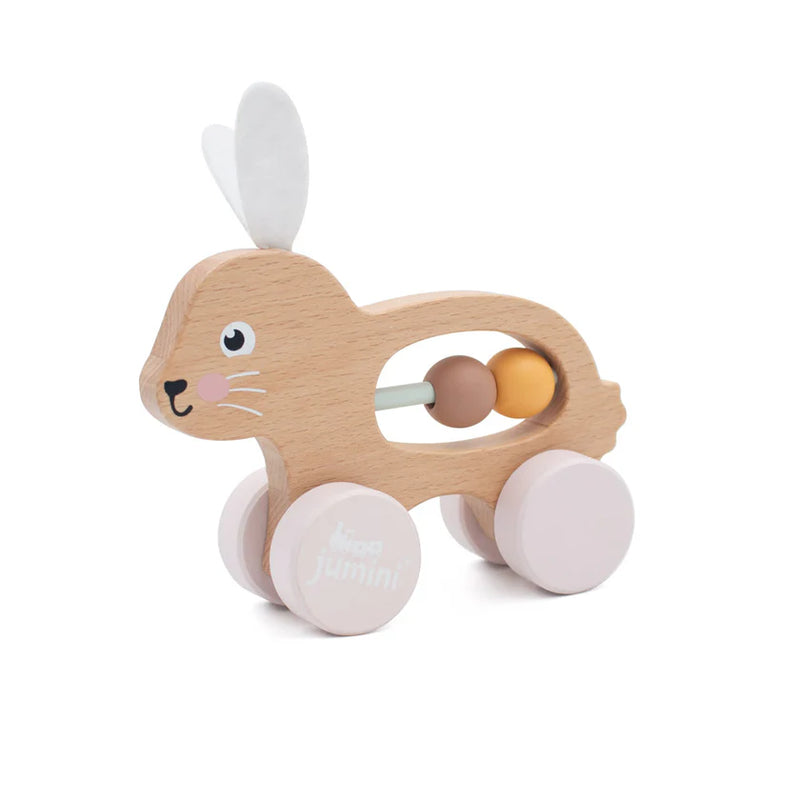 Push Along Friends Bunny
