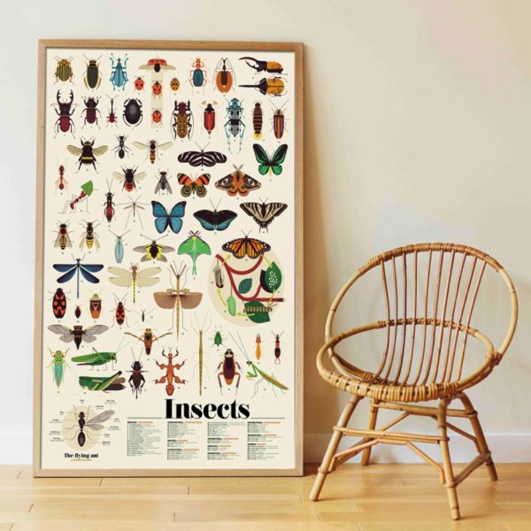 Poppik Sticker Poster - Insects