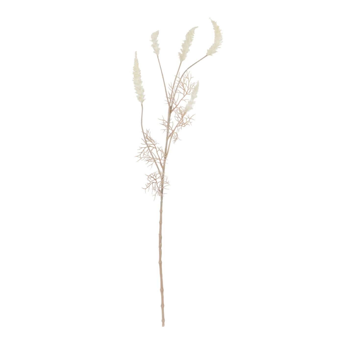 Phalaris Bleached Faux Botanical