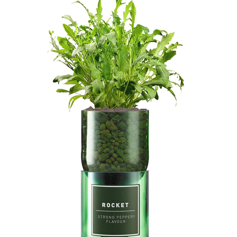 Rocket Hydro-herb kit