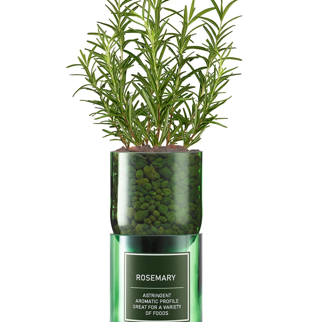 Rosemary Hydro-herb kit