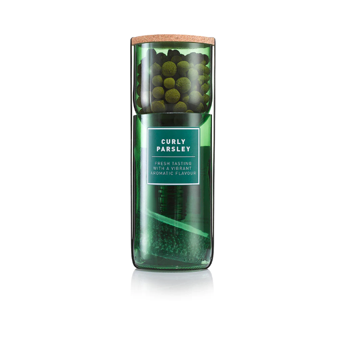 Curly Parsley Hydro-herb kit