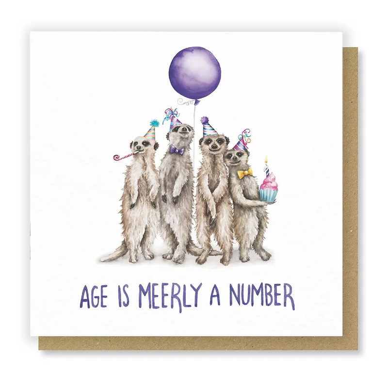Meerly a Number Card