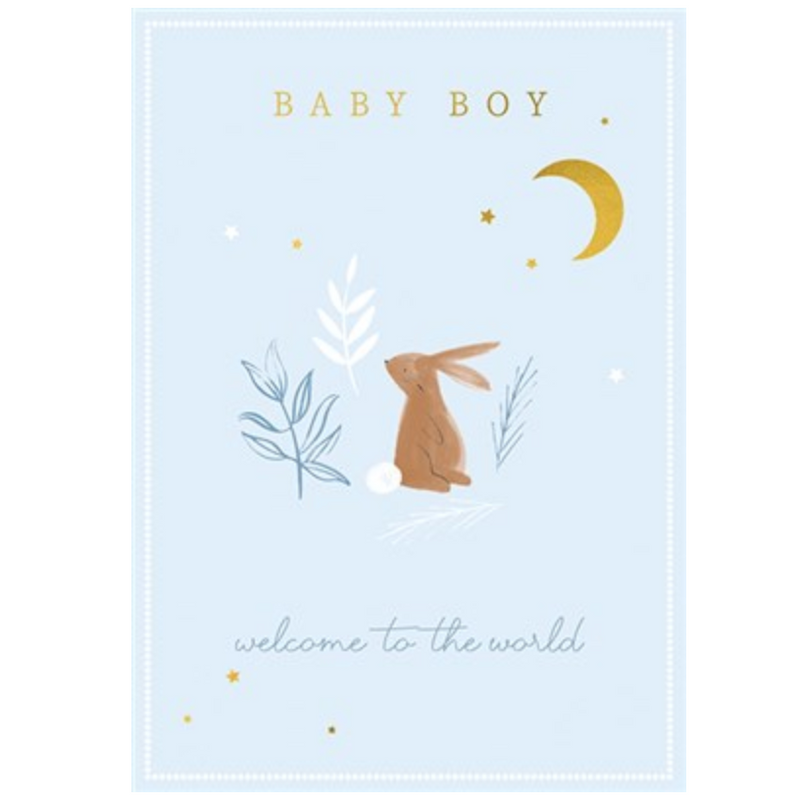 Baby Boy Welcome To the World Card