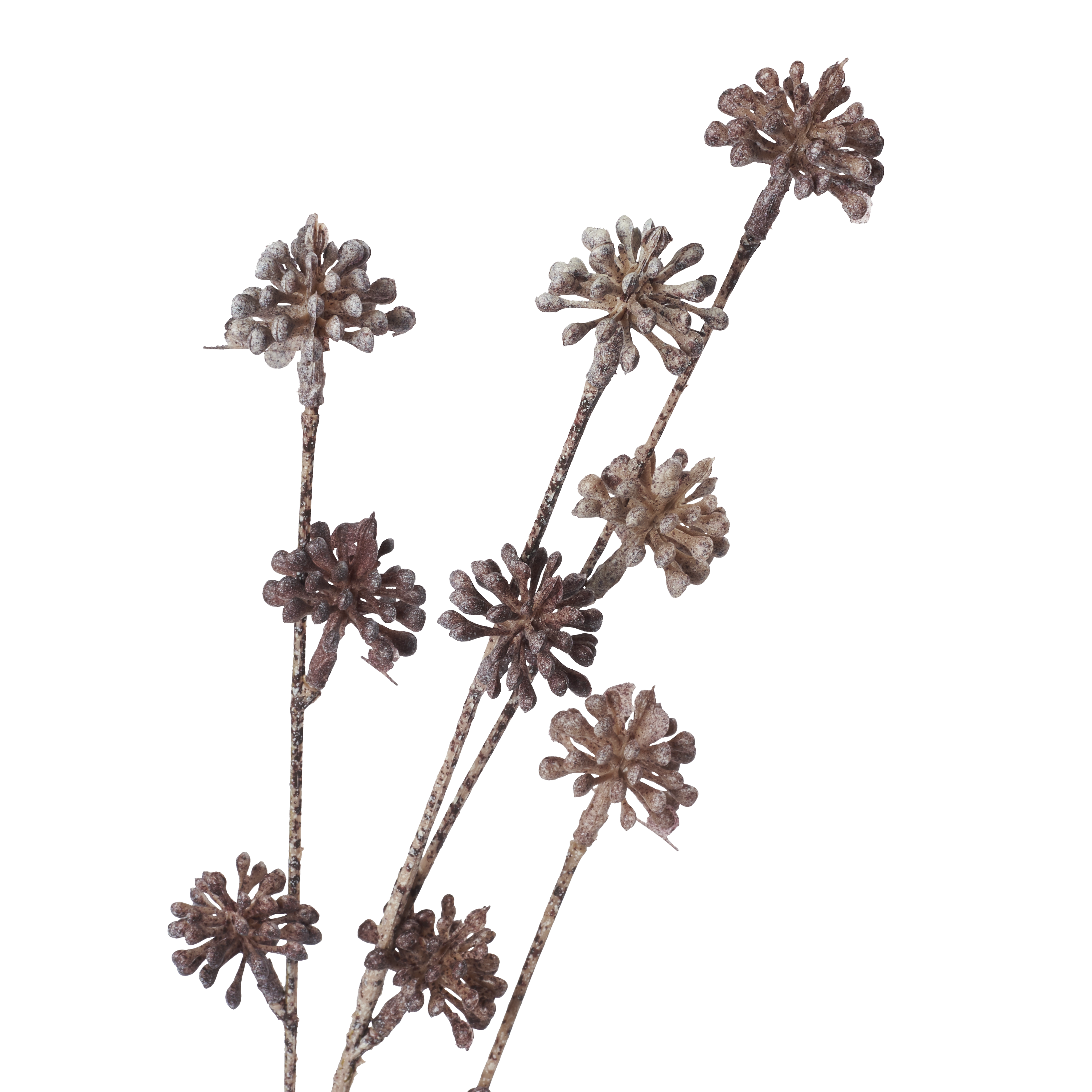 Sedum Stem Plum Faux Botanical
