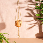 Macrame Plant Hanger Terracotta Small