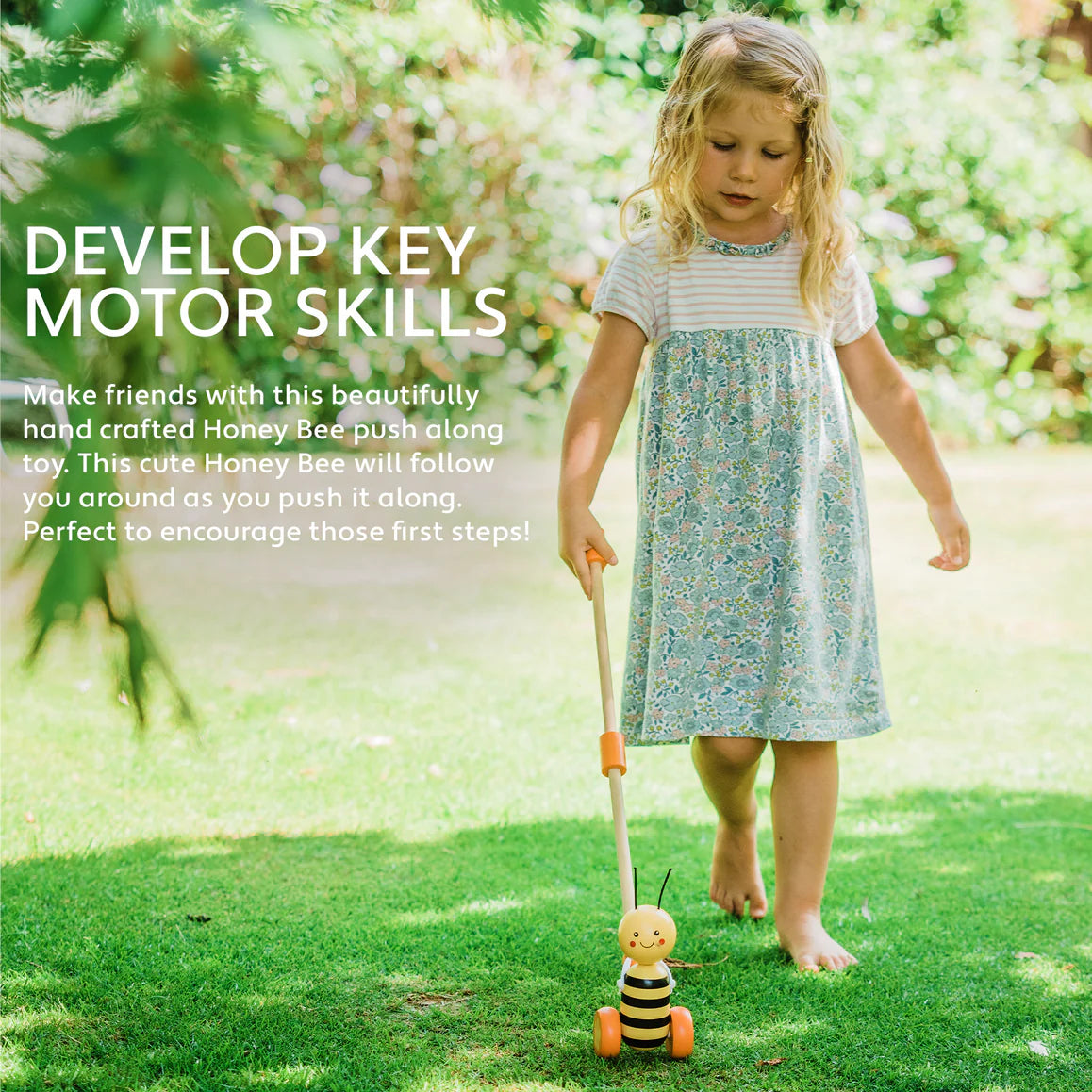 Push Along Honey Bee Toy