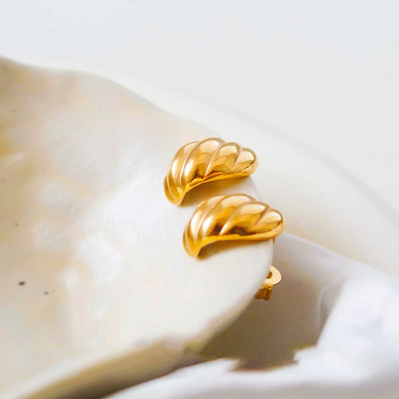 Twisted Curve Earrings