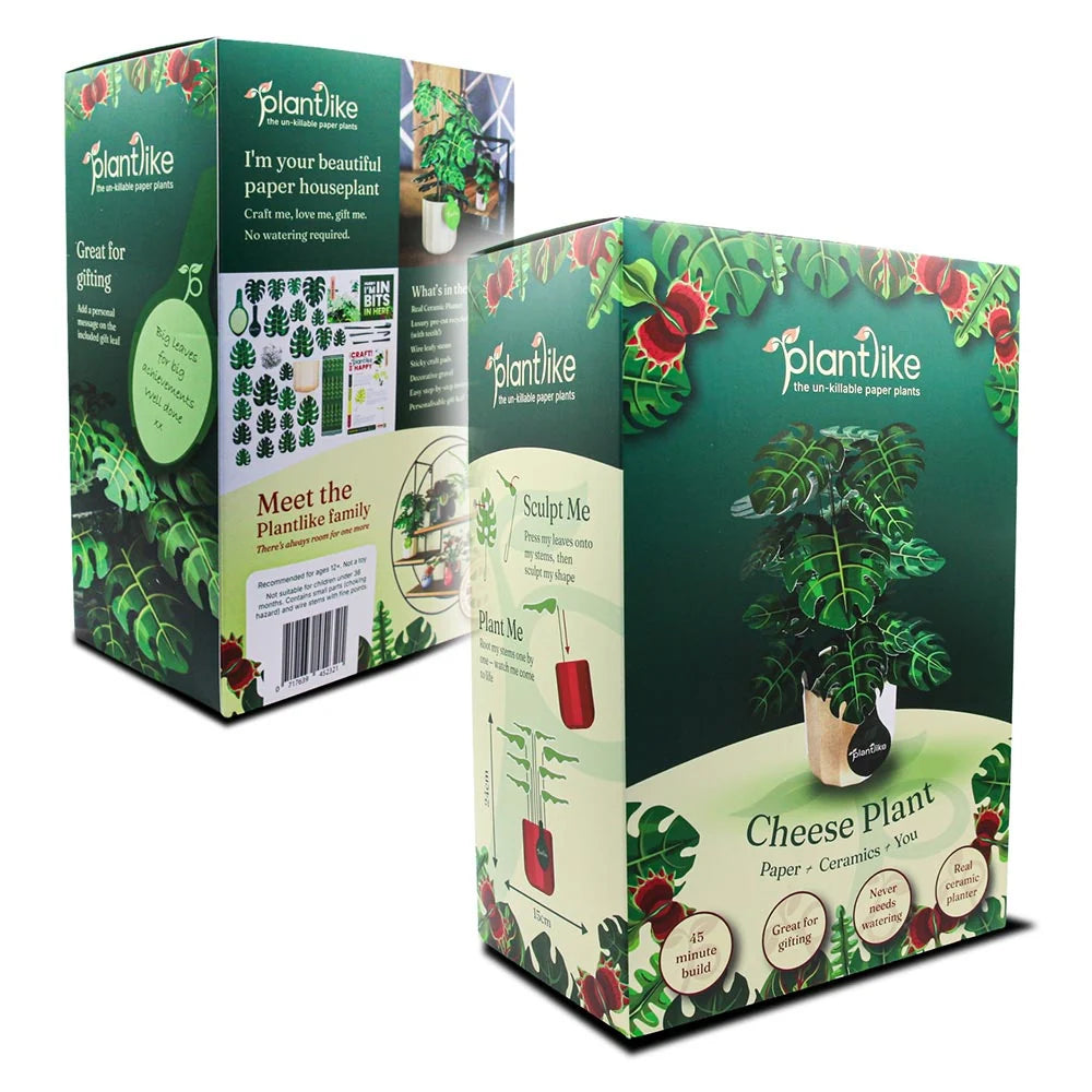 Monstera Cheese Plant - Paper Craft Kit
