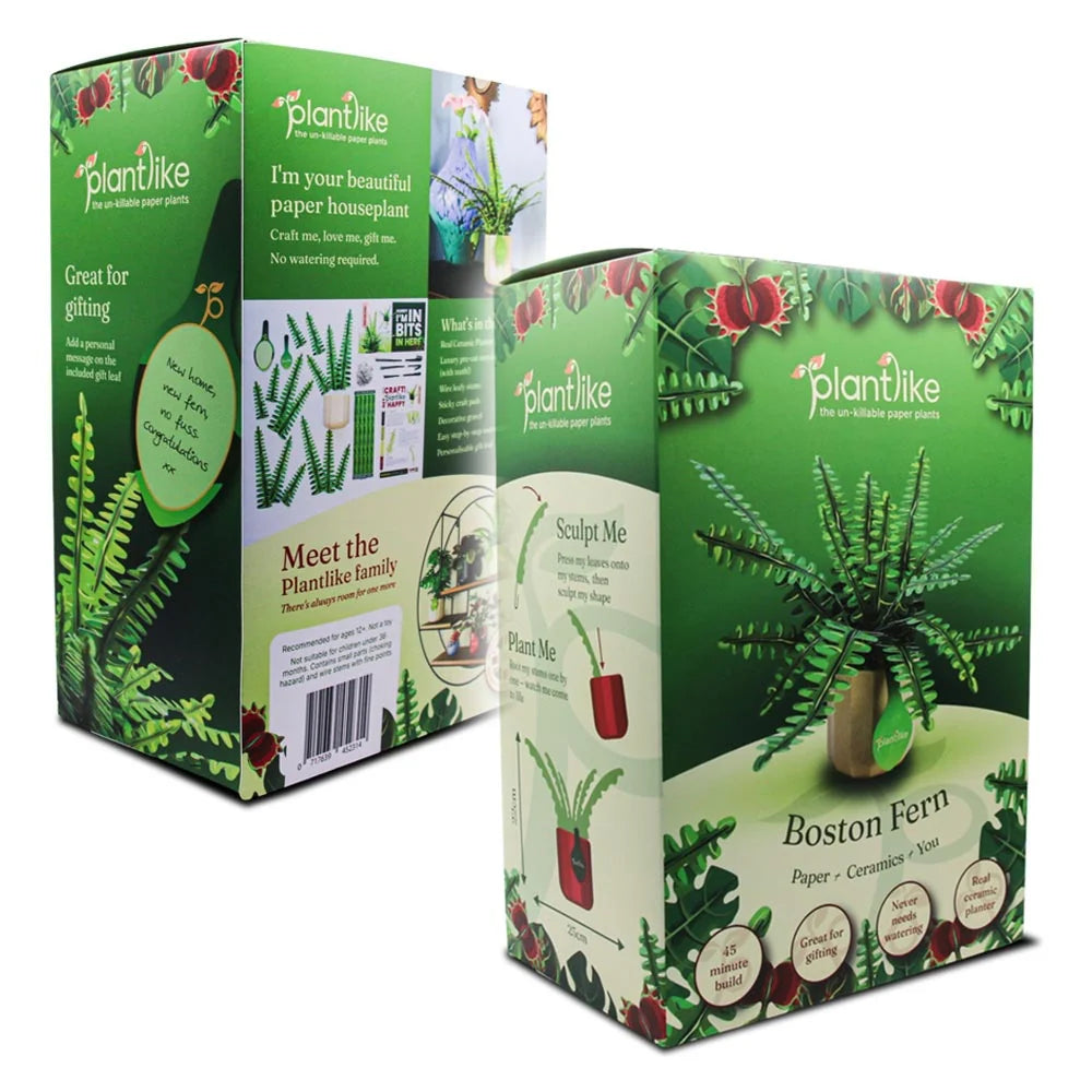 Boston Fern - Paper Craft Kit