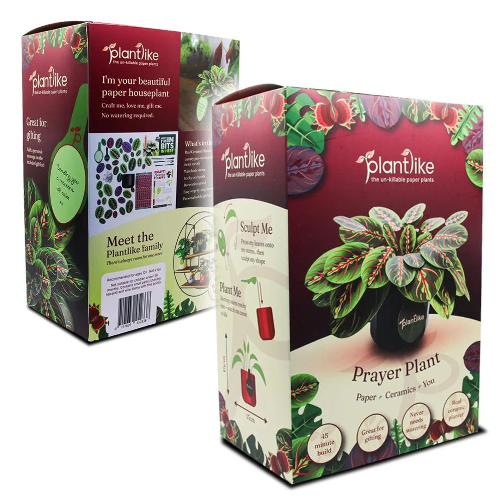 The Prayer Plant - Paper Craft Kit