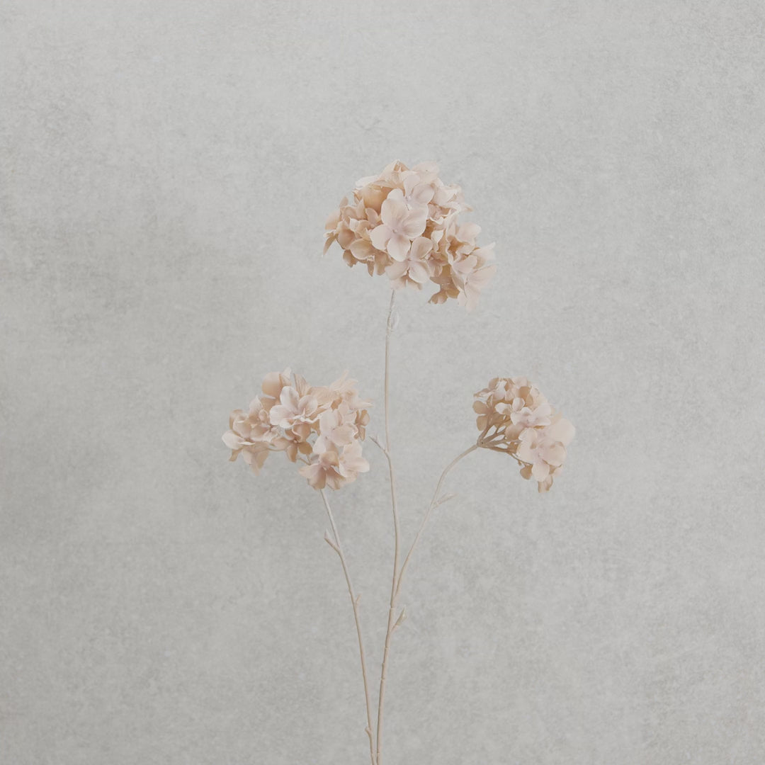 Hydrangea Paniculata Faux Botanical