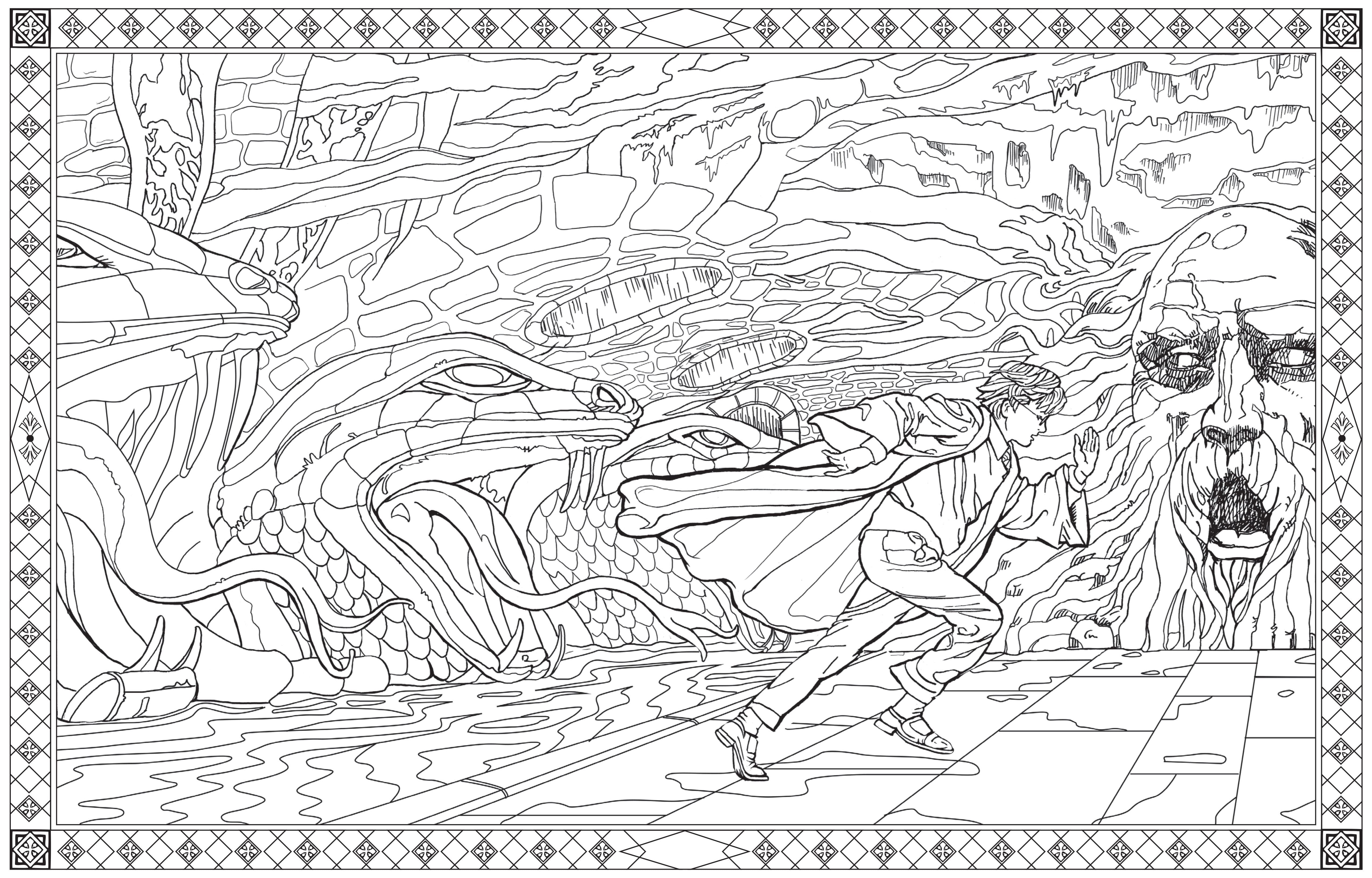 Harry Potter Colouring Book