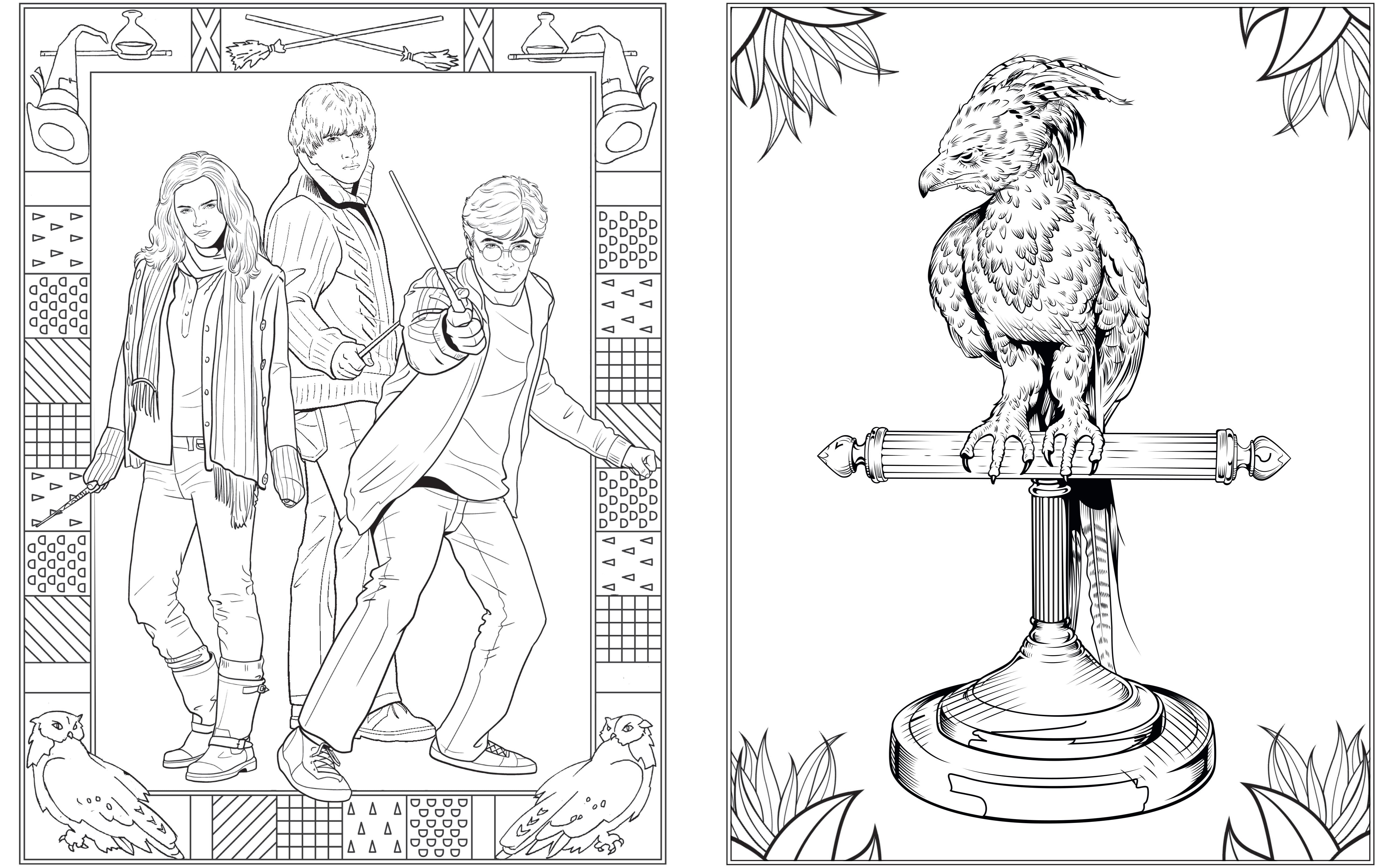 Harry Potter Colouring Book