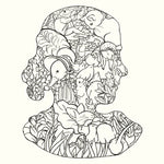 Beatrix Potter Colouring Book