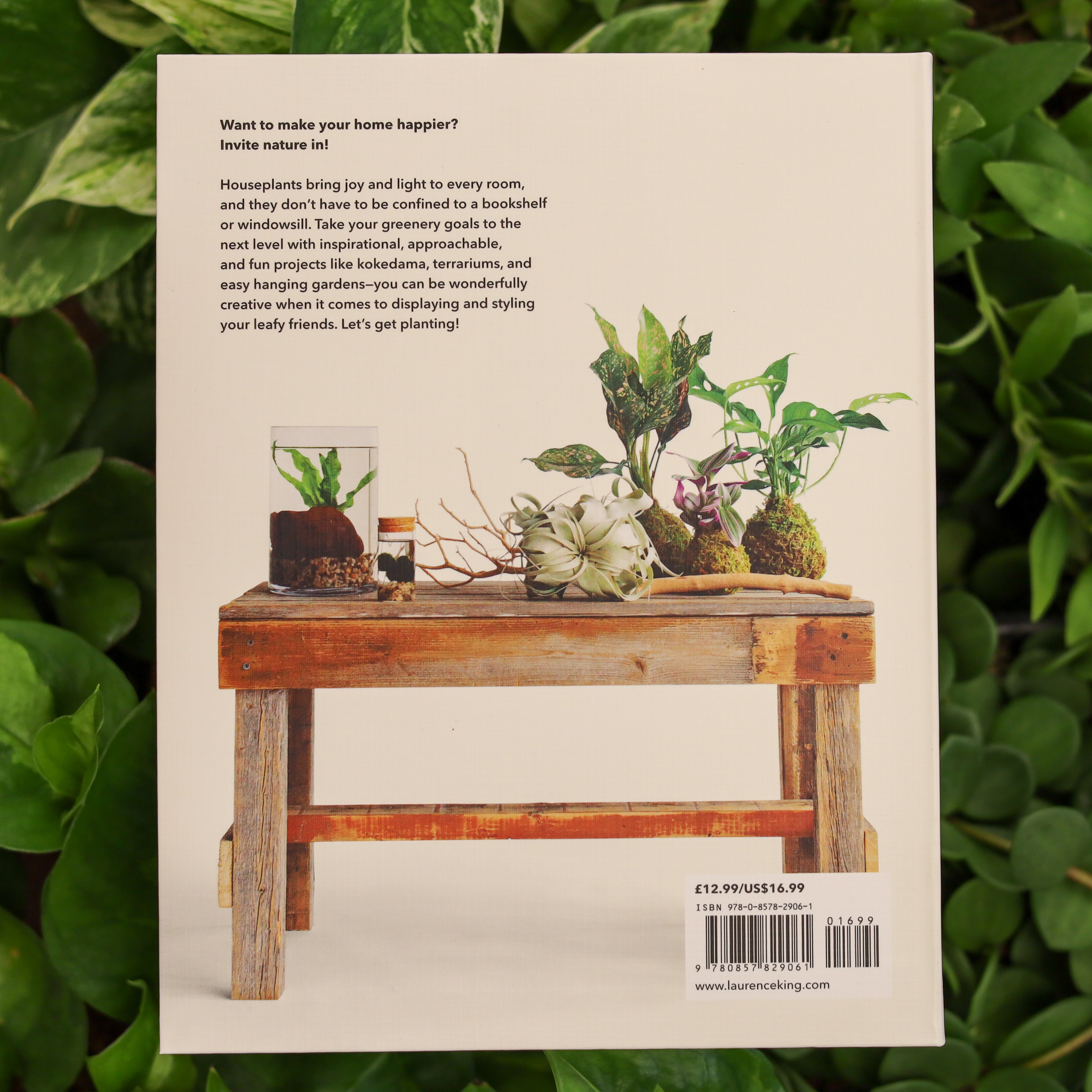 How to Plant a Room and Grown a Happy Home