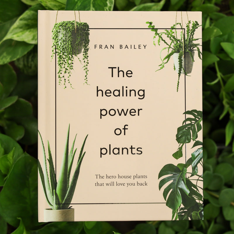Healing Power Of Plants