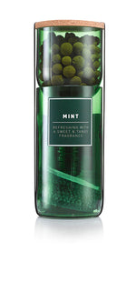 Mint Hydro-herb kit