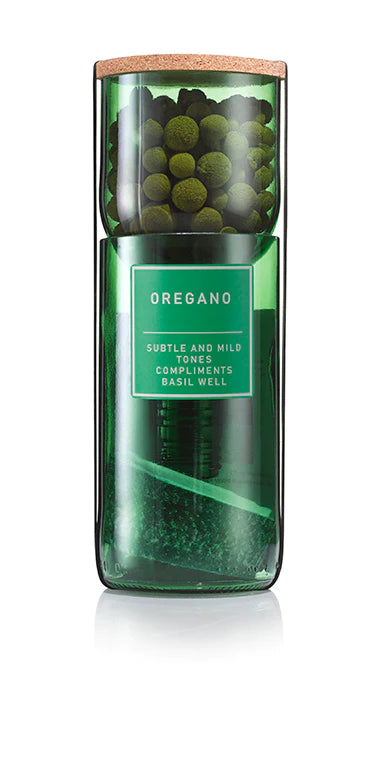 Oregano Hydro-herb kit