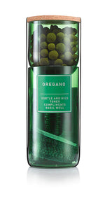 Oregano Hydro-herb kit
