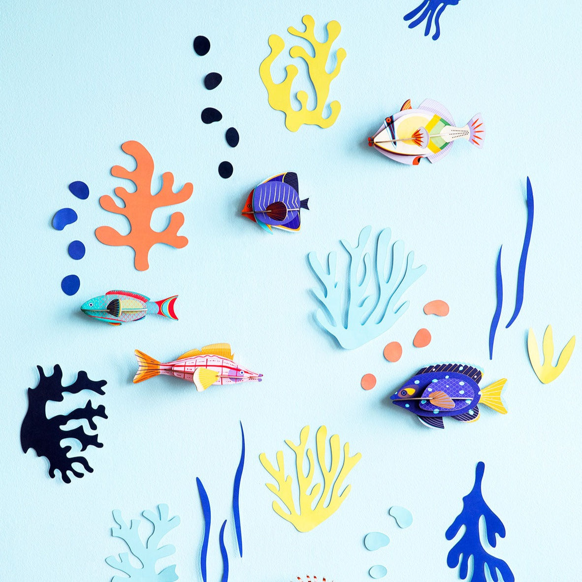 Wall Of Curiosities, Fish Hobbyist Wall Art