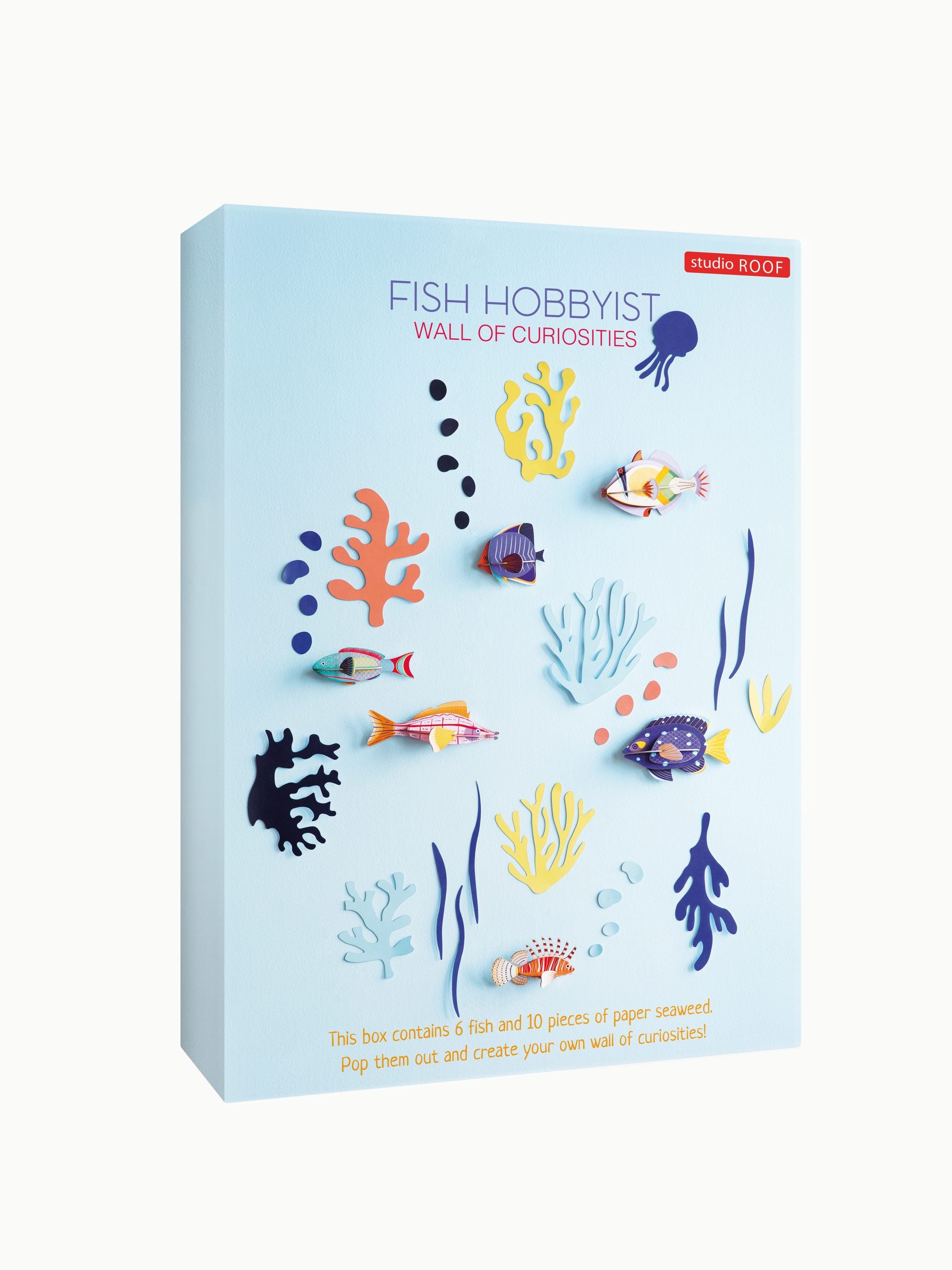 Wall Of Curiosities, Fish Hobbyist Wall Art