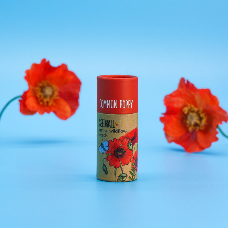 Poppy- Wildflower Seedball Tube