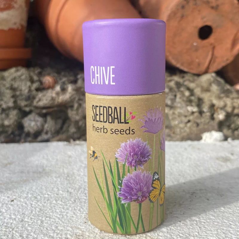 Herb Seedball Tube - Chive