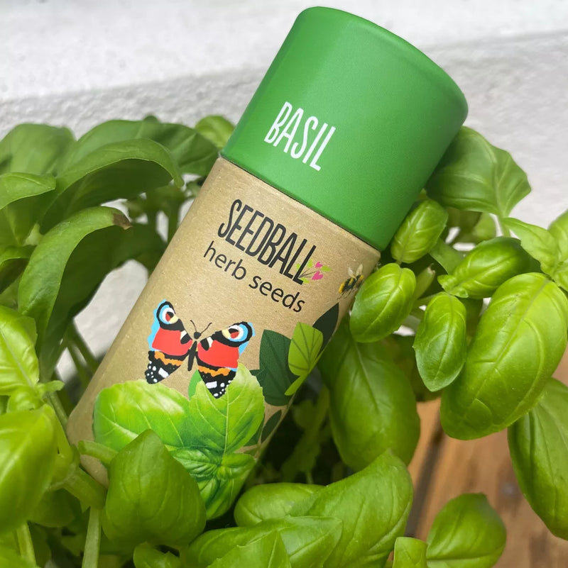 Herb Seedball Tube - Basil